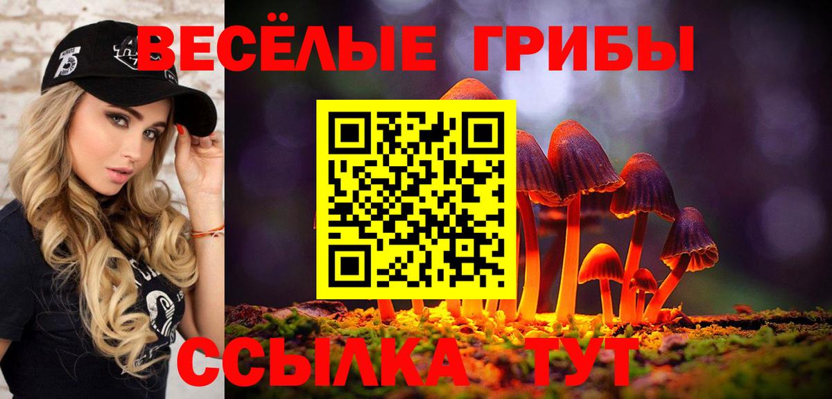 Галлюциногенные грибы MAGIC MUSHROOMS Топки