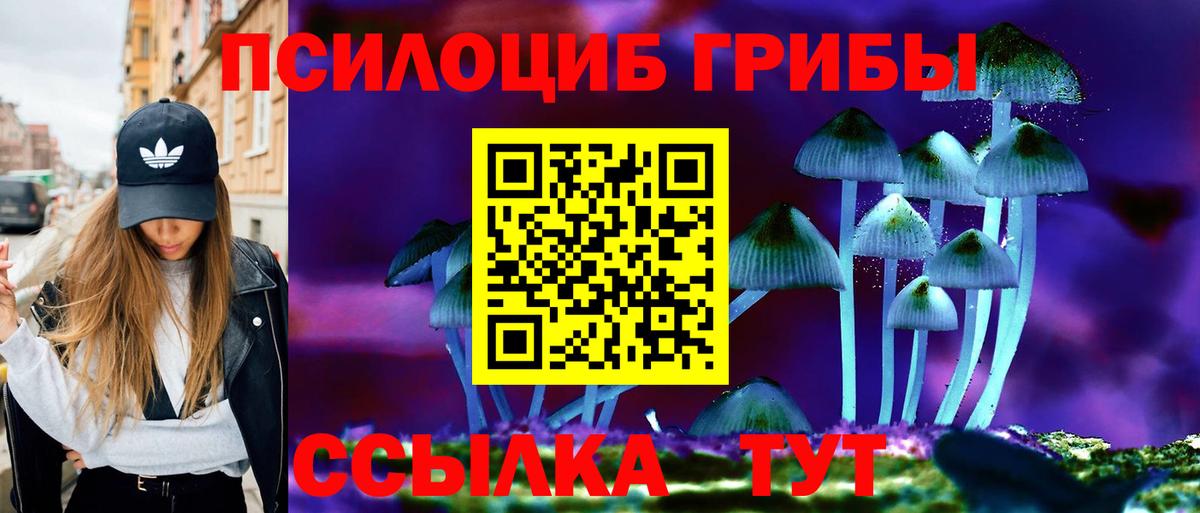 Топки  Галлюциногенные грибы мухоморы  закладка  Вход с VPN 